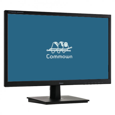 Generalüberholter 24 oder 24,5''-Bildschirm