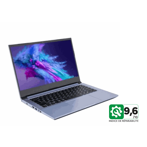 why NV4xMZ - 14" - Le Poids Plume Abordable RECO 