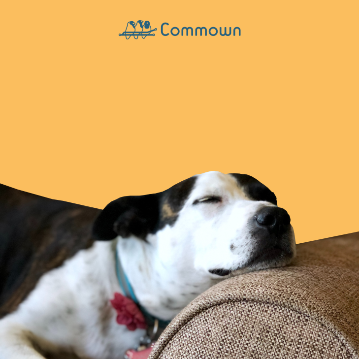 Esprit tranquille - niveau de services &quot;Sérénité&quot;